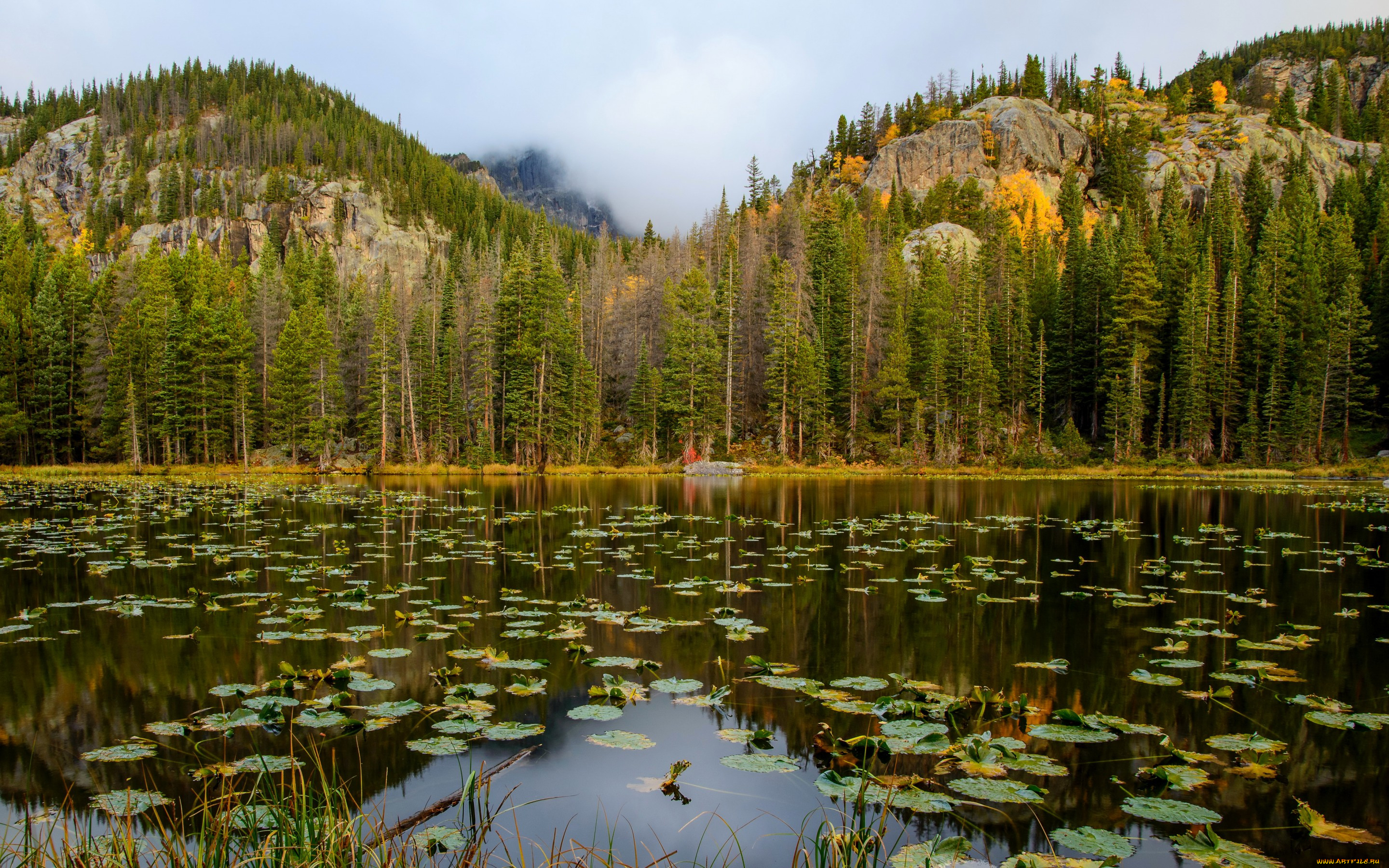 , , , , nymph, lake, rocky, mountain, national, park, , , , 